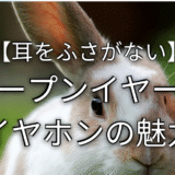 オープンイヤーアイキャッチ